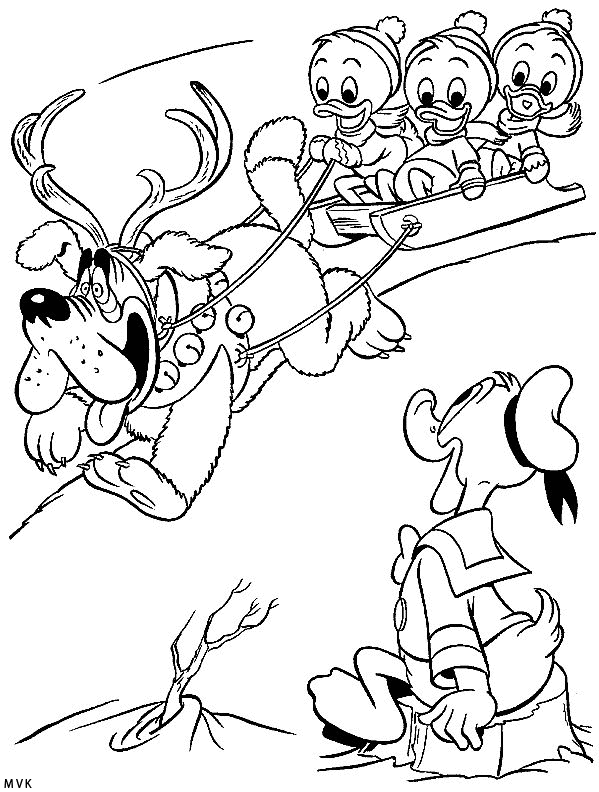 donald duck007